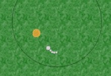 Microbe Chain
